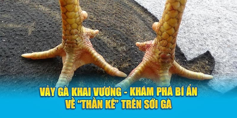 Vay-ga-khai-vuong-avt