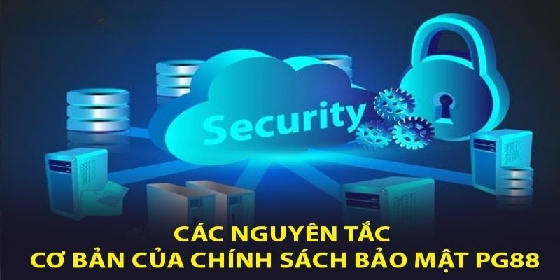 Tuân thủ chính sách bảo vệ nghiêm chỉnh 