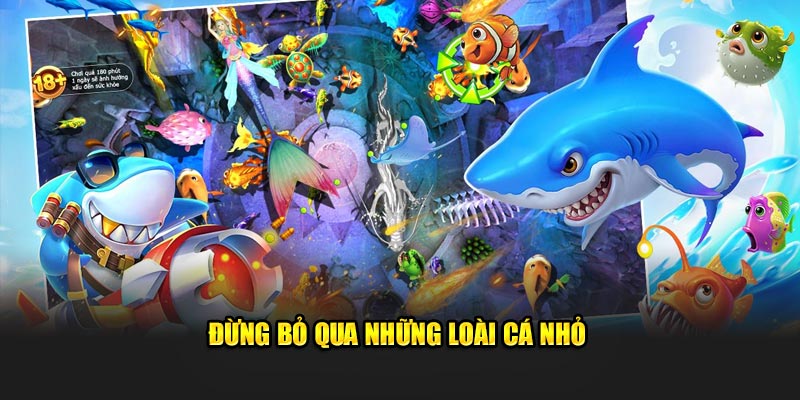 Đừng bỏ qua những loài cá nhỏ