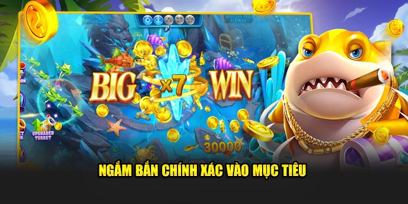 Ngắm bắn chính xác 100% vào mục tiêu